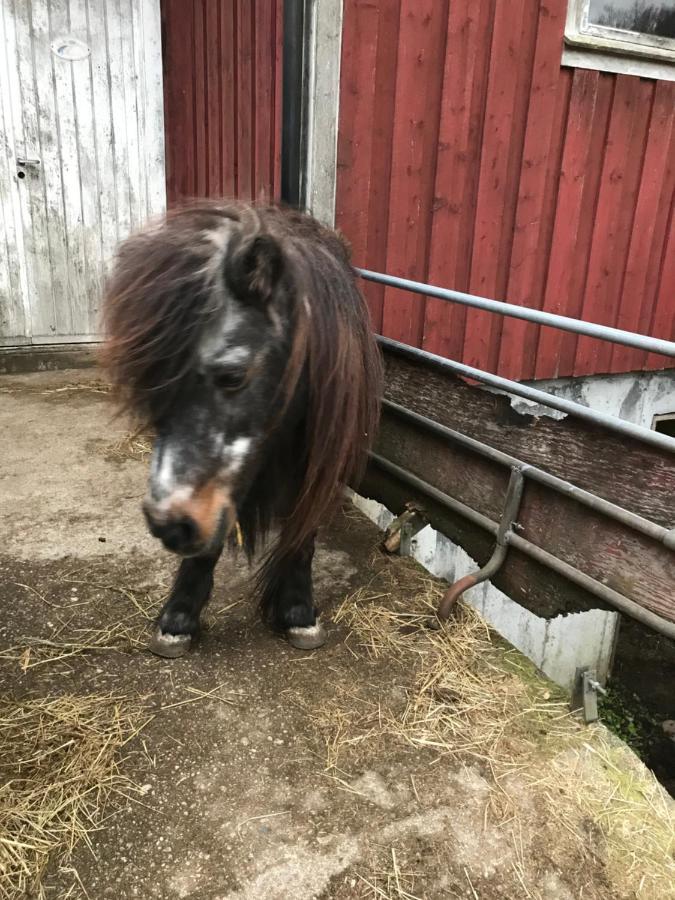Bjorkely Gard Apartment Rasvag Luaran gambar