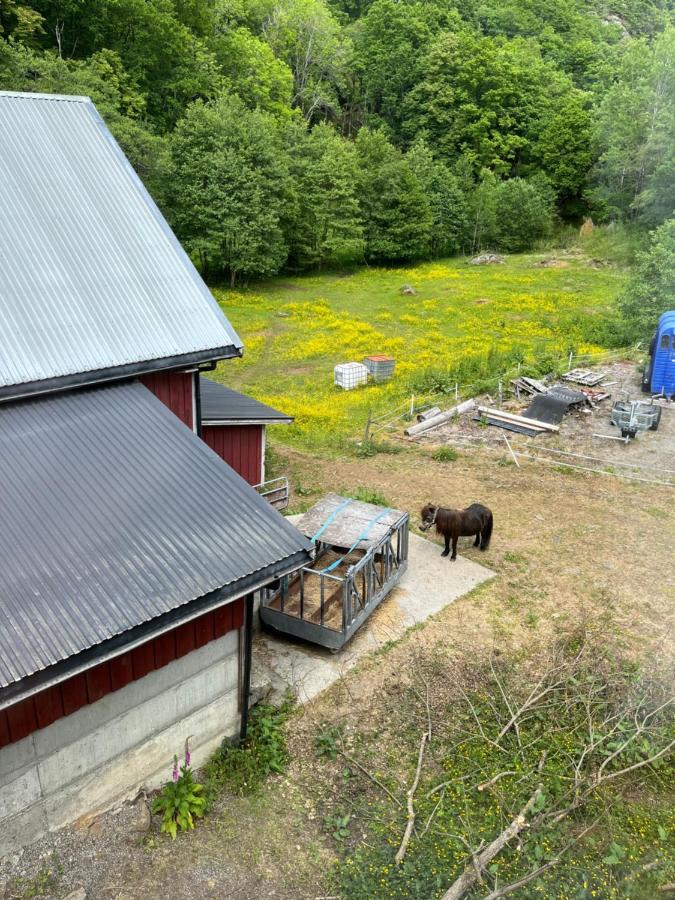 Bjorkely Gard Apartment Rasvag Luaran gambar
